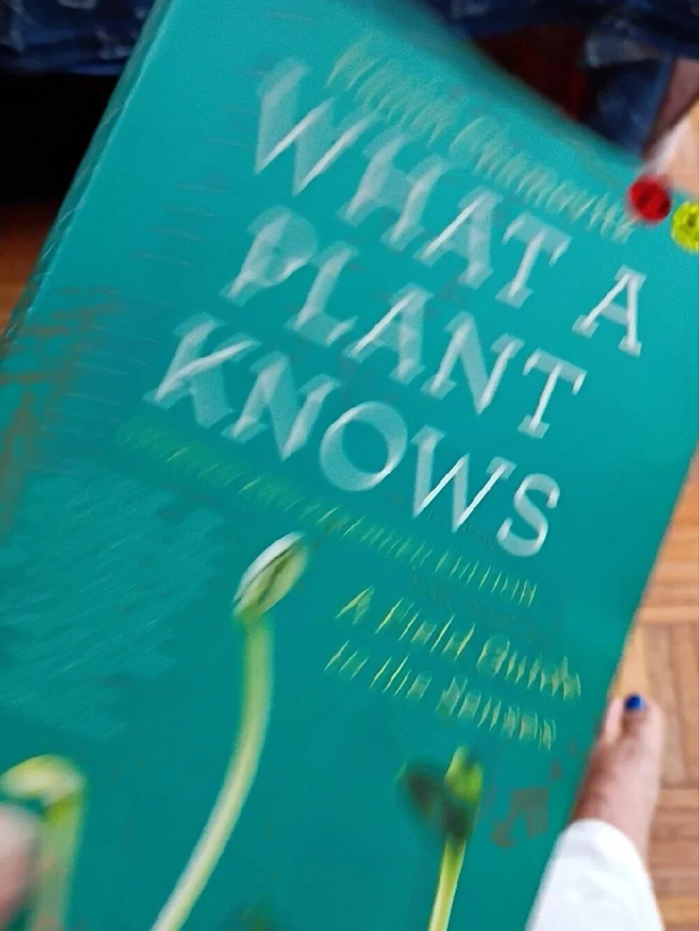 N/A what plant